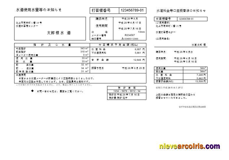 Japan S-Energy Japan Co. Ltd. Tokyo Branch business utility bill